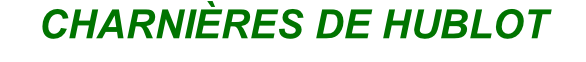 CHARNIÈRES DE HUBLOT
