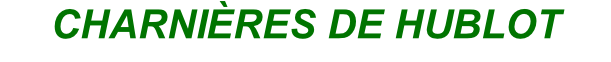 CHARNIÈRES DE HUBLOT