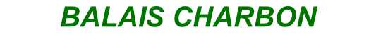 BALAIS CHARBON